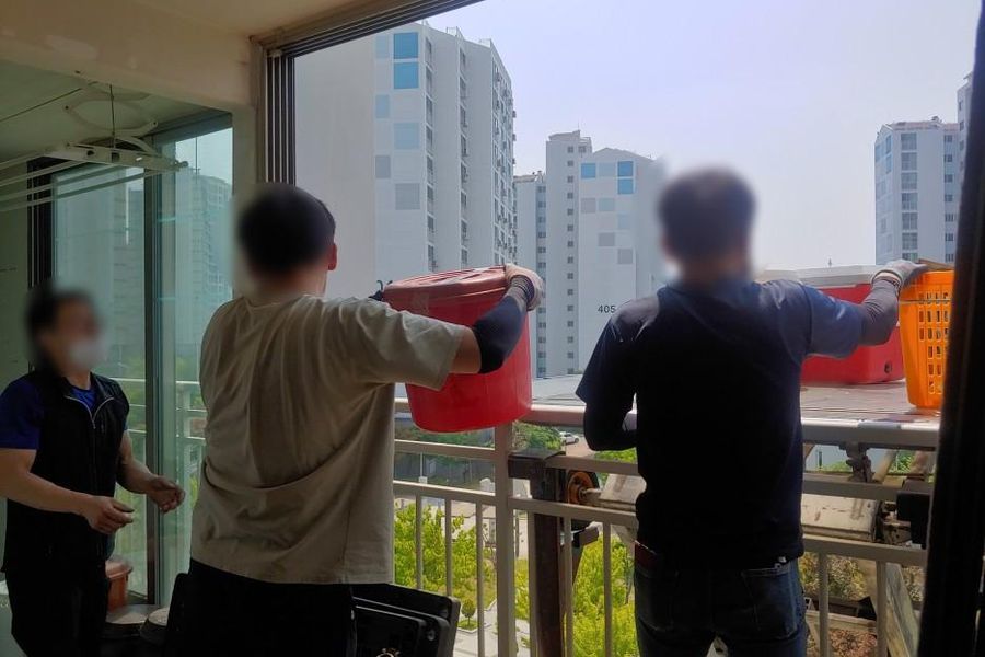 안산 성포동 현장 스냅